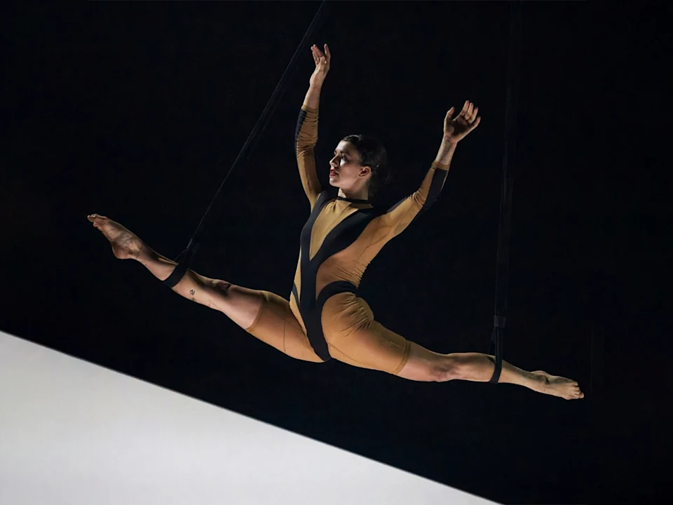 Wolf: What to expect - 1