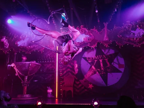 A performer in costume executes an aerial acrobat routine, suspended upside-down on a ring, with a decorative stage in the background.