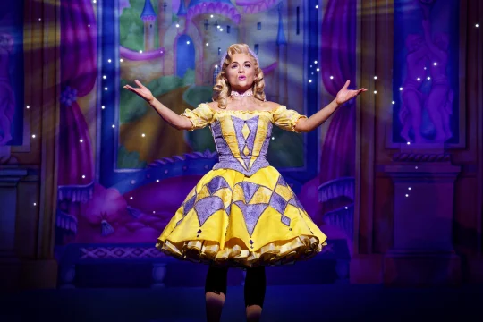 Pantoland At The Palladium: What to expect - 3
