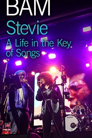 Stevie: A Life in the Key of Songs