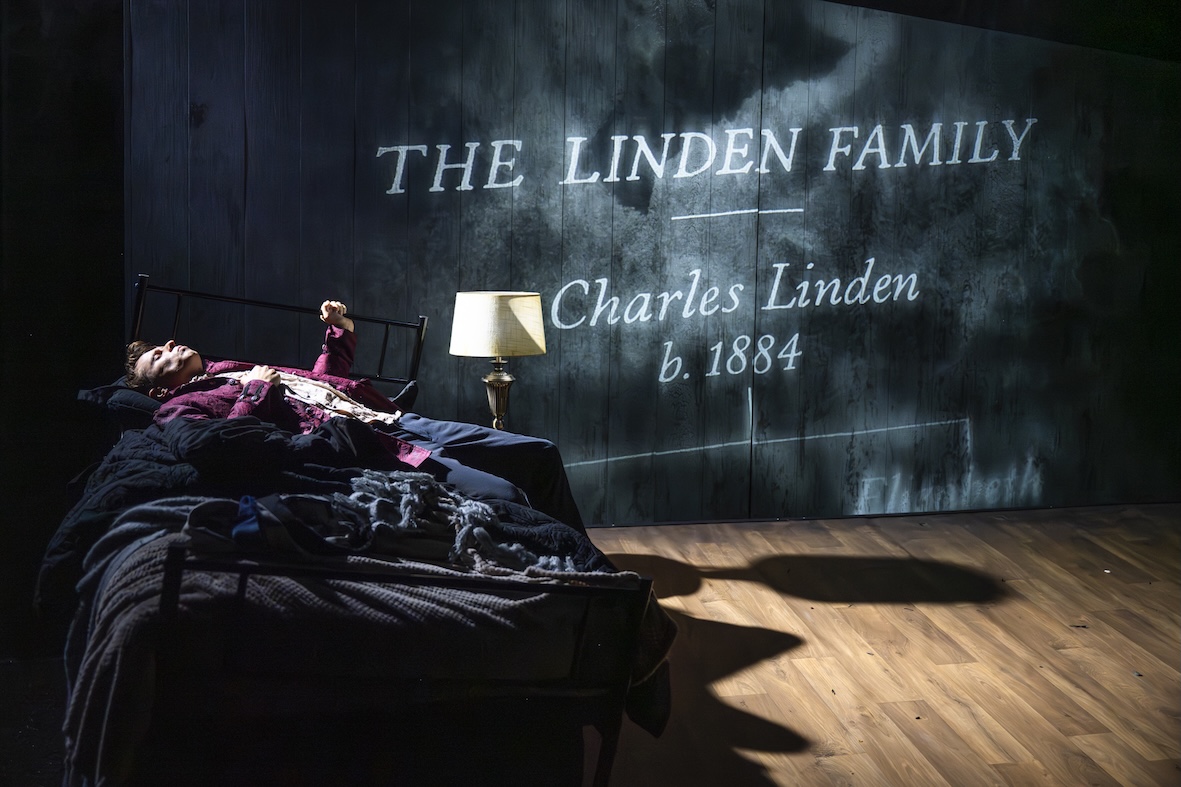 It Walks Around The House At Night: What to expect - 4