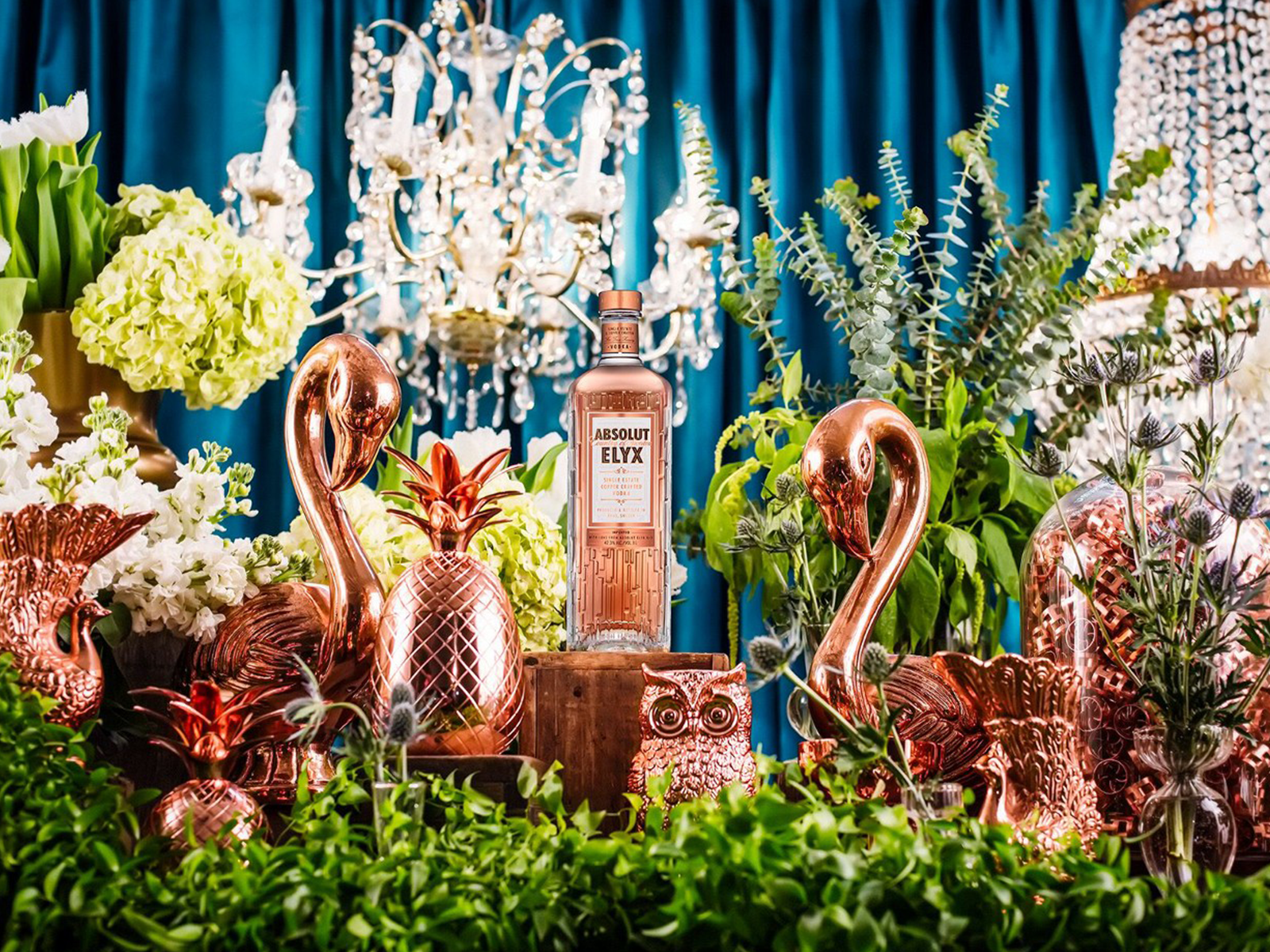 Speakeasy: What to expect - 5