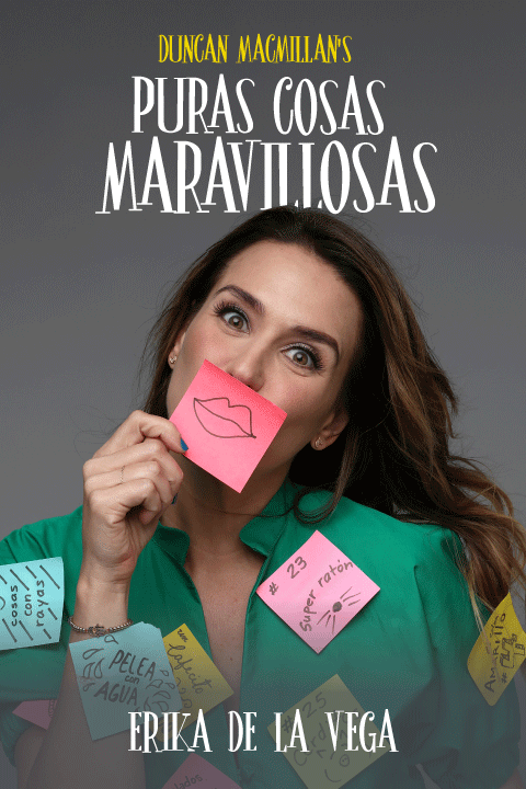 Puras Cosas Maravillosas con Erika De La Vega show poster