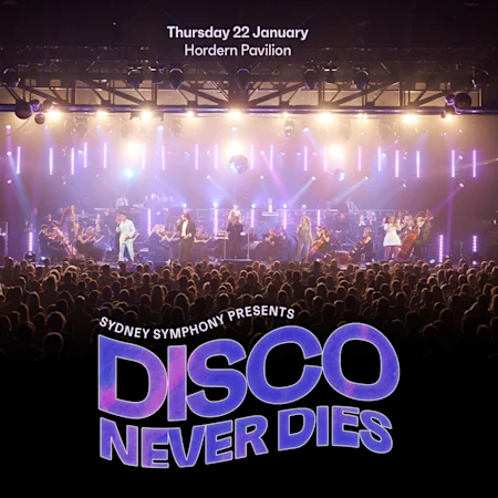 Disco Never Dies