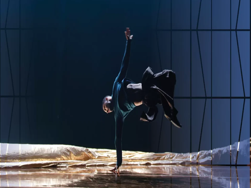 Compagnie Hervé Koubi: Sol Invictus: What to expect - 1