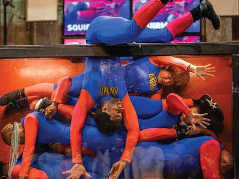 A group of performers wearing blue and red unitards with “STAGS” lettering squeezed into a narrow, rectangular glass enclosure.