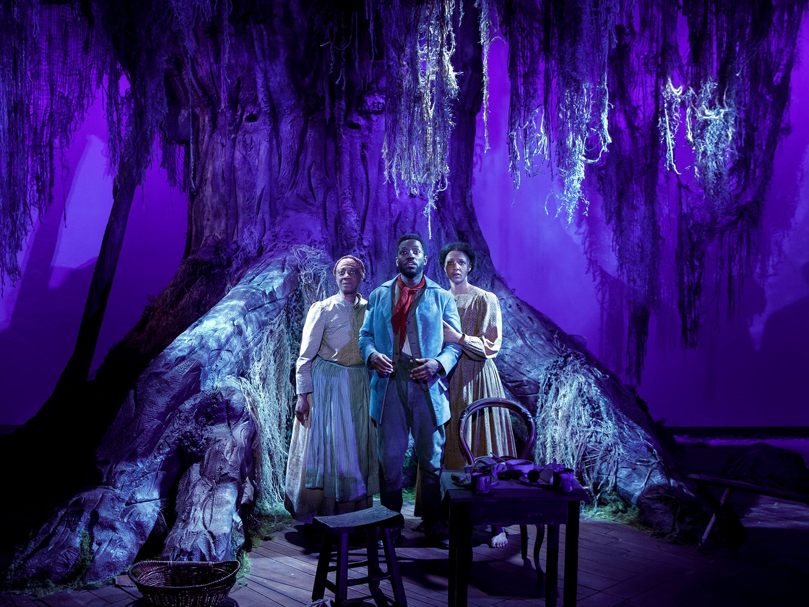 Sugar in our Wounds: What to expect - 4