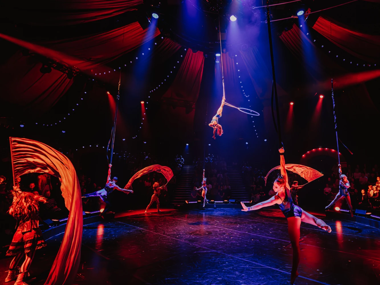 Come Alive! The Greatest Showman Circus Spectacular: What to expect - 4