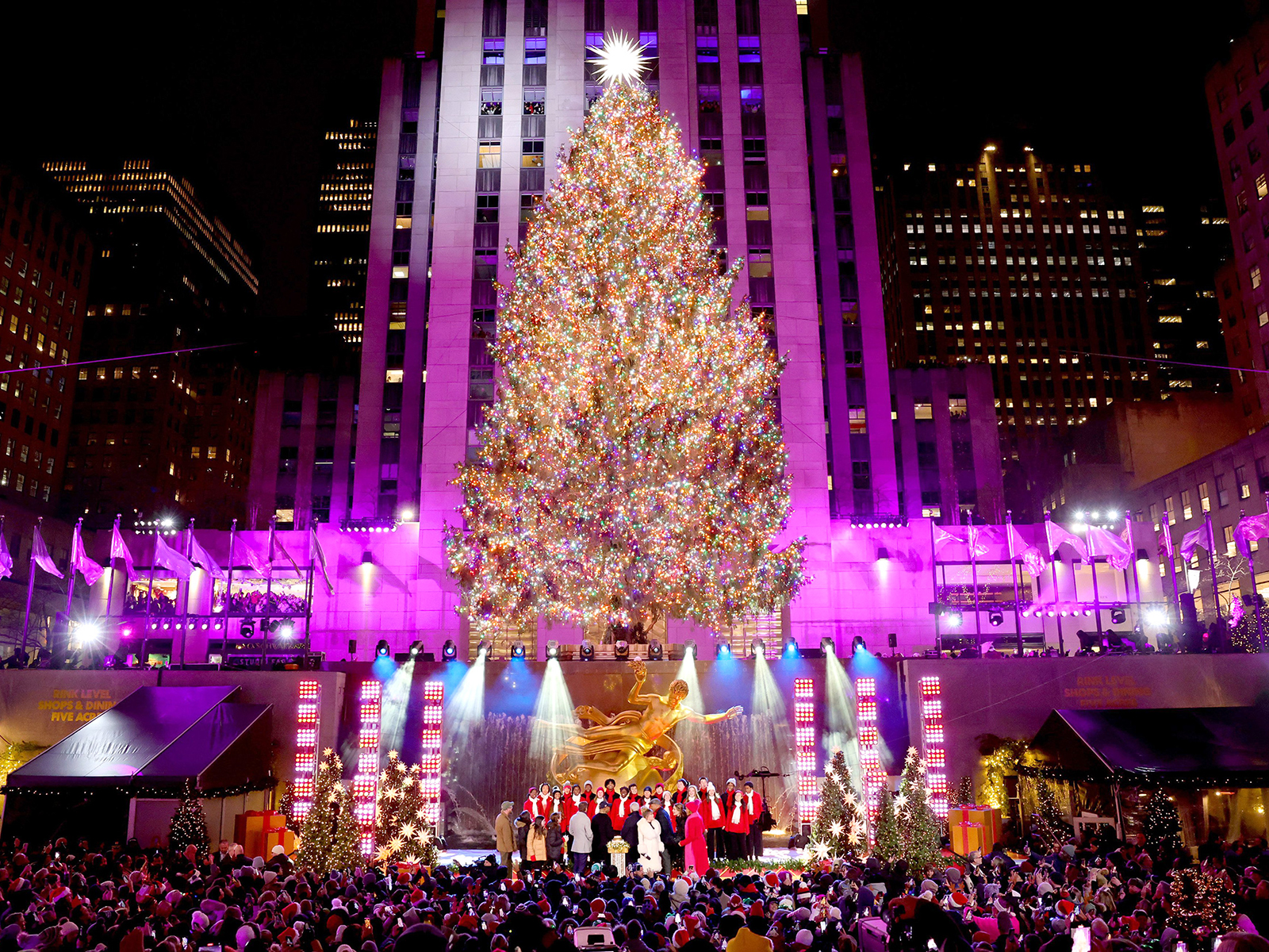 Holiday Lights & Movie Sites Bus Tour: What to expect - 5