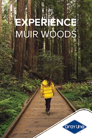 Muir Woods & Sausalito Tour (with Return Ferry) Tickets