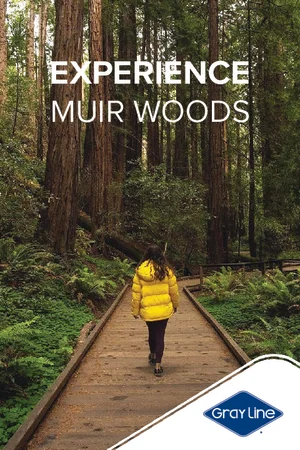 Muir Woods & Sausalito Tour (with Return Ferry)