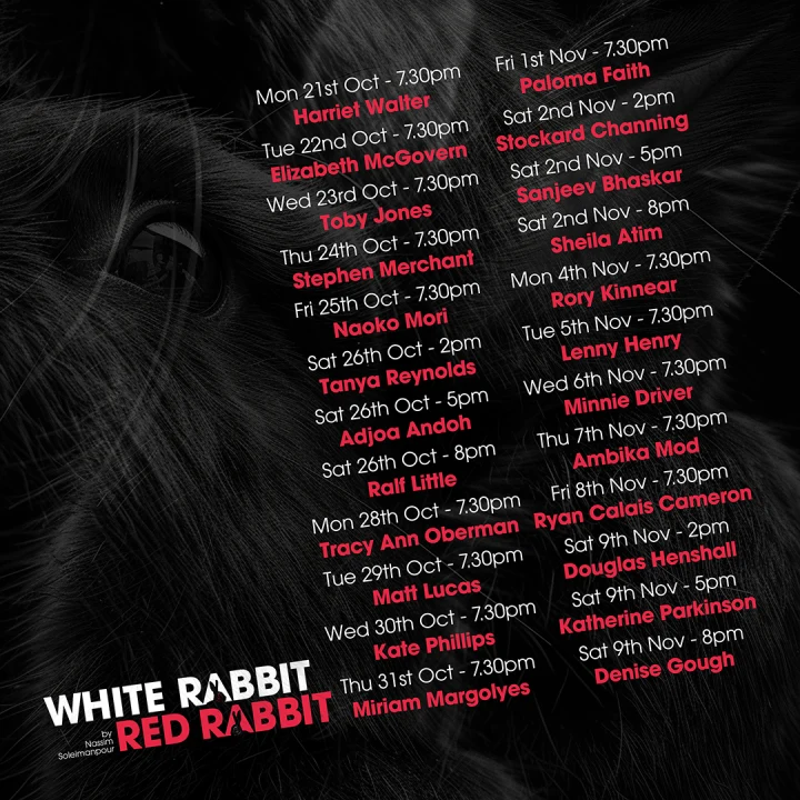 White Rabbit Red Rabbit: What to expect - 1