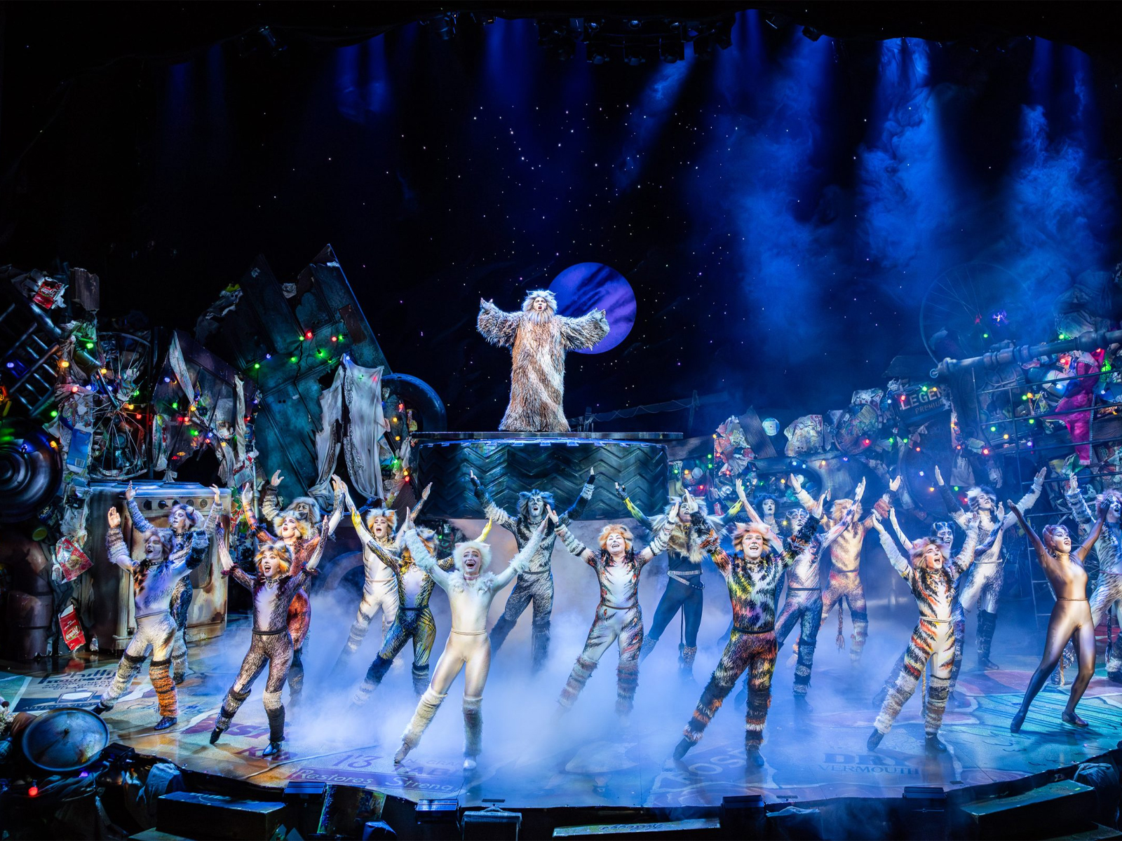 CATS: What to expect - 2