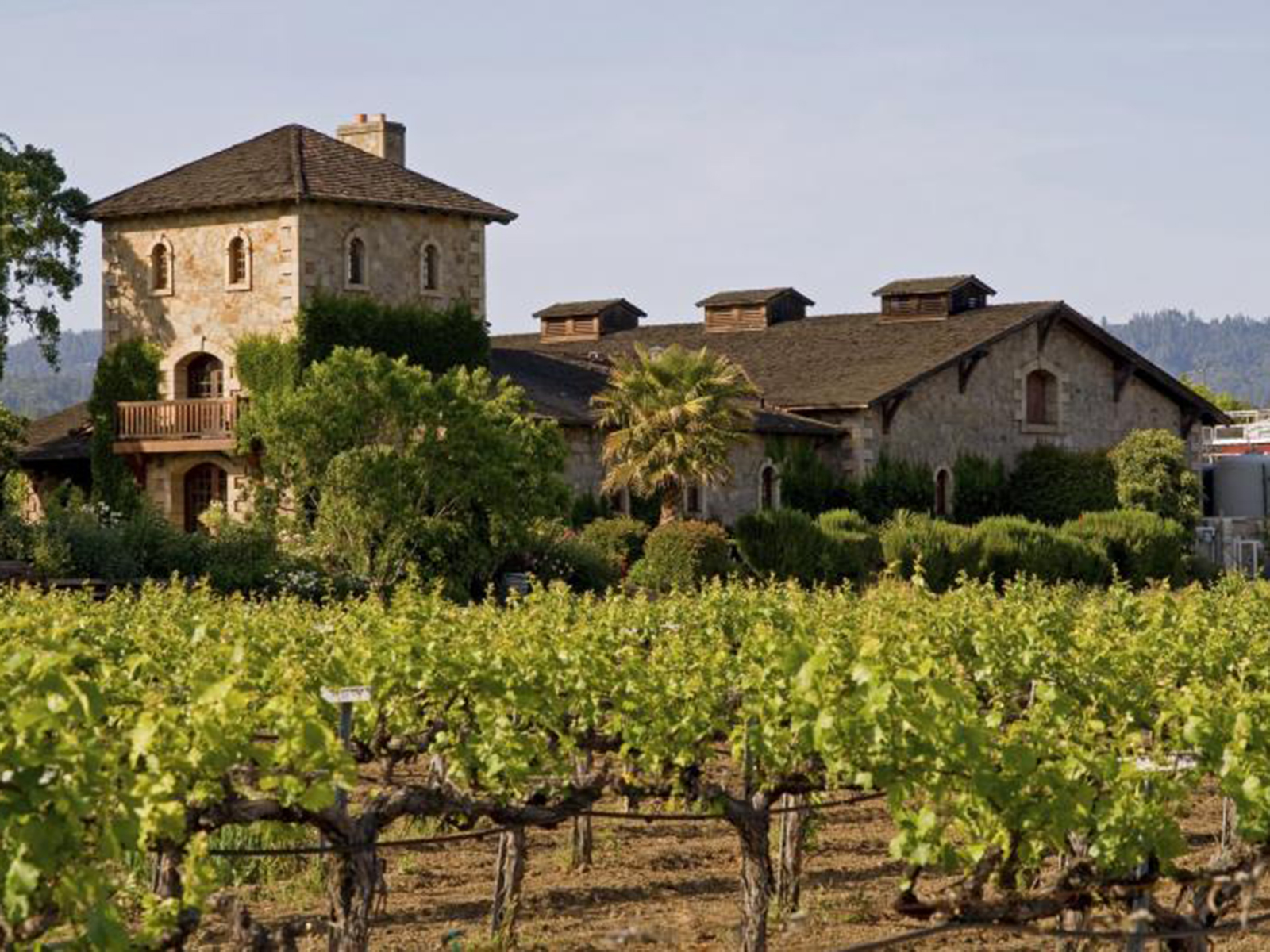 Napa and Sonoma Wine Country Tour: What to expect - 3