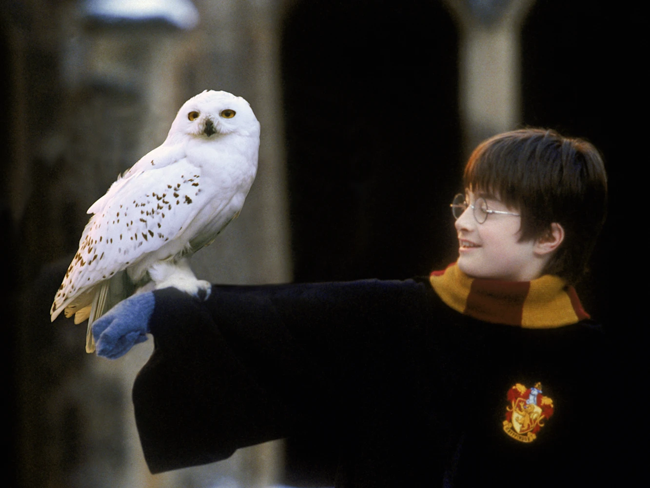 Harry Potter and the Philosopher's Stone In Concert: What to expect - 3