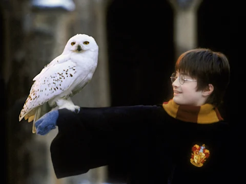 Harry Potter and the Philosopher's Stone In Concert: What to expect - 3