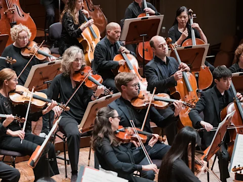 A group of musicians in formal black attire play string instruments, including violins, cellos, and violas, during an orchestral performance.