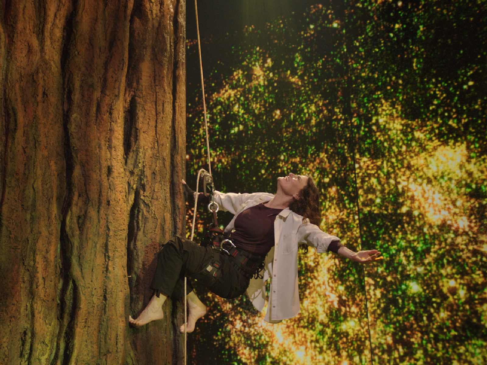 Redwood: What to expect - 1