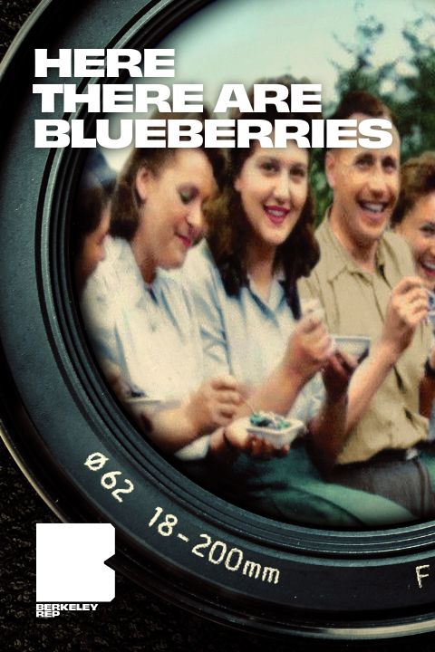 Here There Are Blueberries show poster