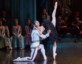 The Australian Ballet presents Celebration Gala: What to expect - 4