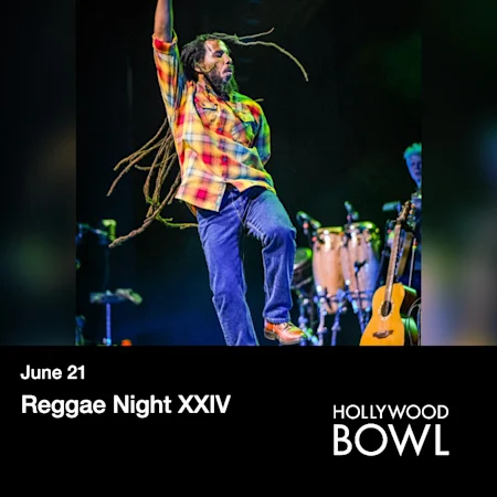 Reggae Night XXIV