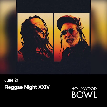 Reggae Night XXIV