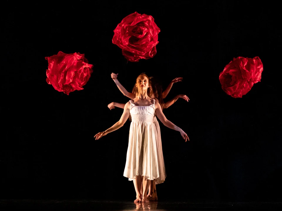 Momix Alice: What to expect - 1