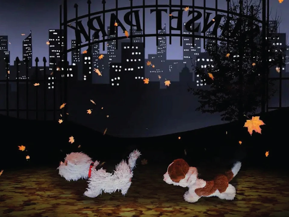 New Owner: What to expect - 1