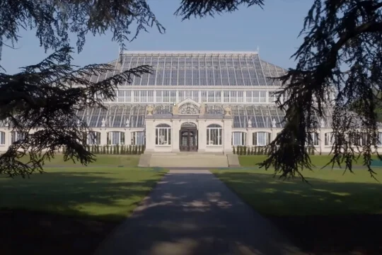 Kew Gardens: What to expect - 5