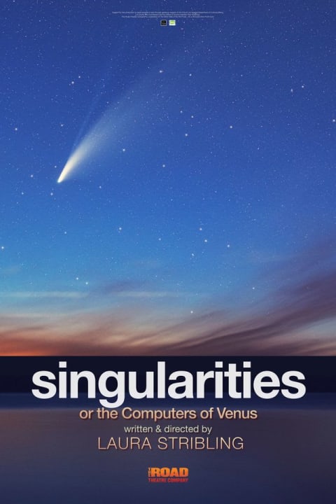 Singularities or the Computers of Venus show poster