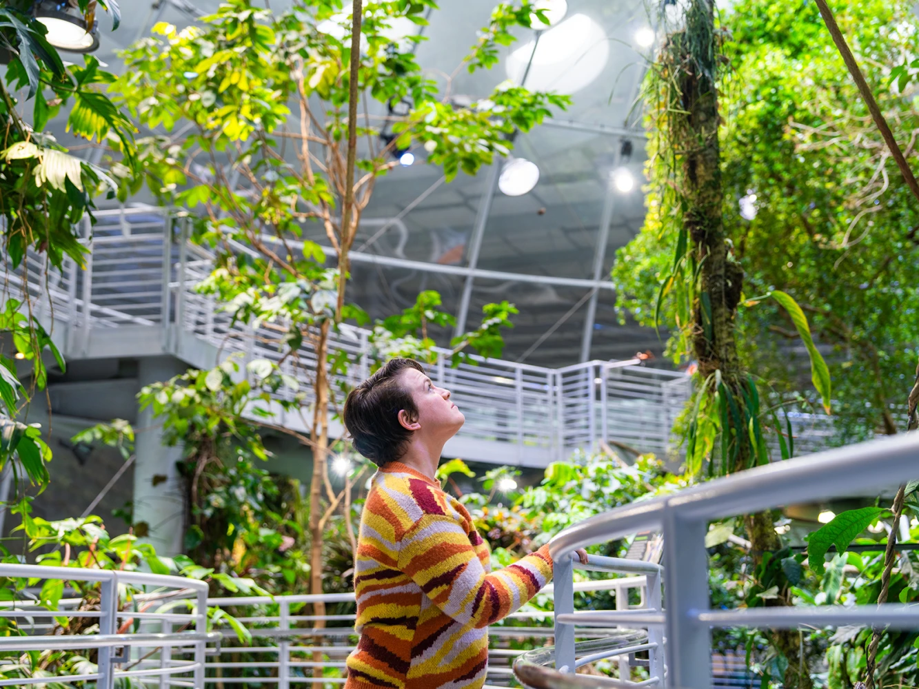 California Academy of Sciences With Steinhart Aquarium Admission: What to expect - 6