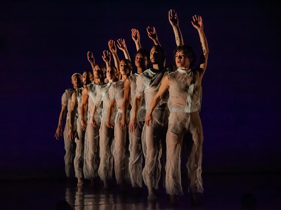 A group of dancers in sheer, sleeveless outfits stand in a line with one arm raised, performing on a dimly lit stage.