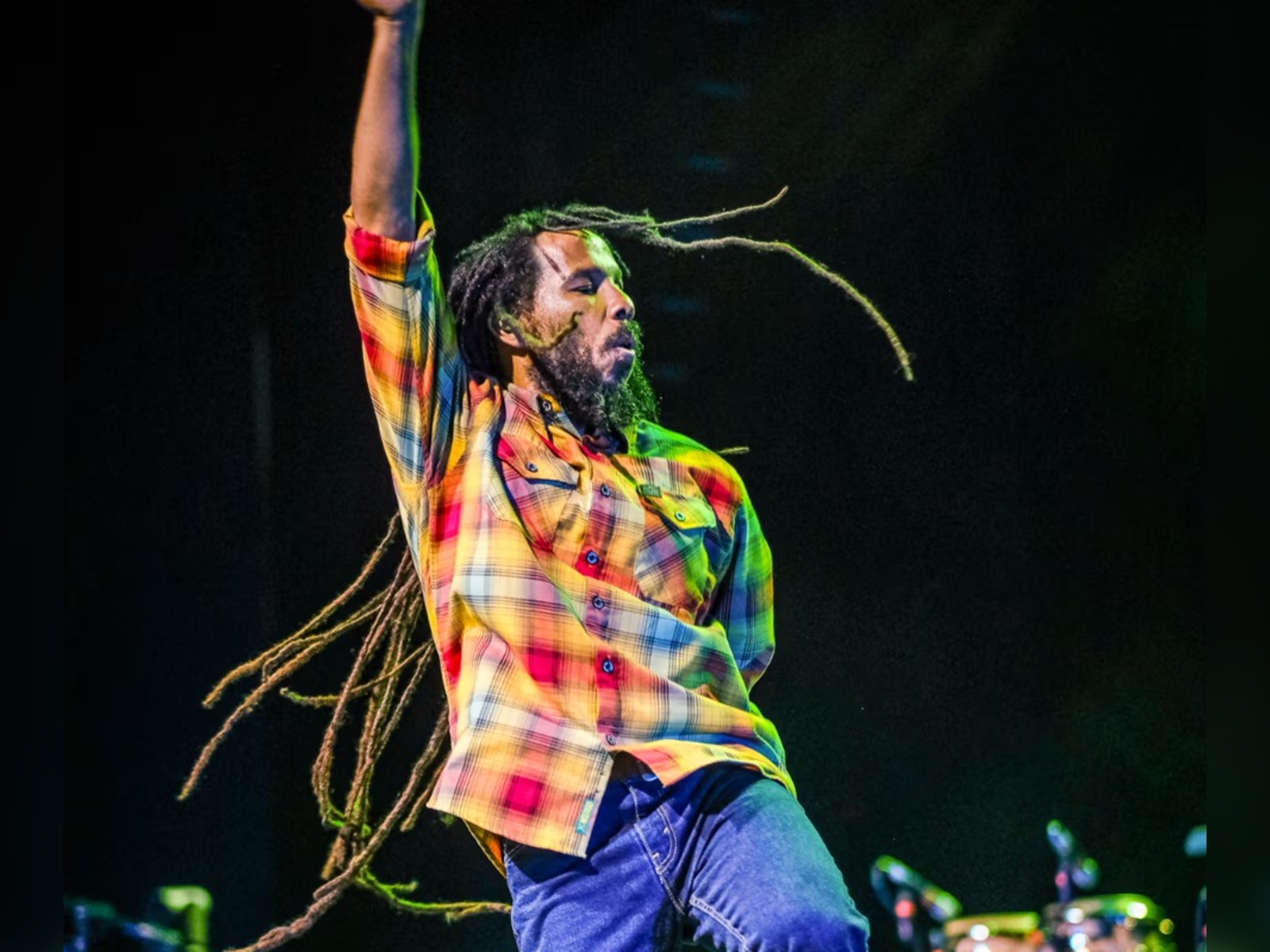 Reggae Night XXIV: What to expect - 2