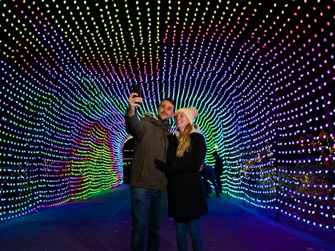 Bronx Zoo Holiday Lights: What to expect - 3