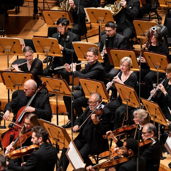 Los Angeles Philharmonic performing at Walt Disney Concert Hall