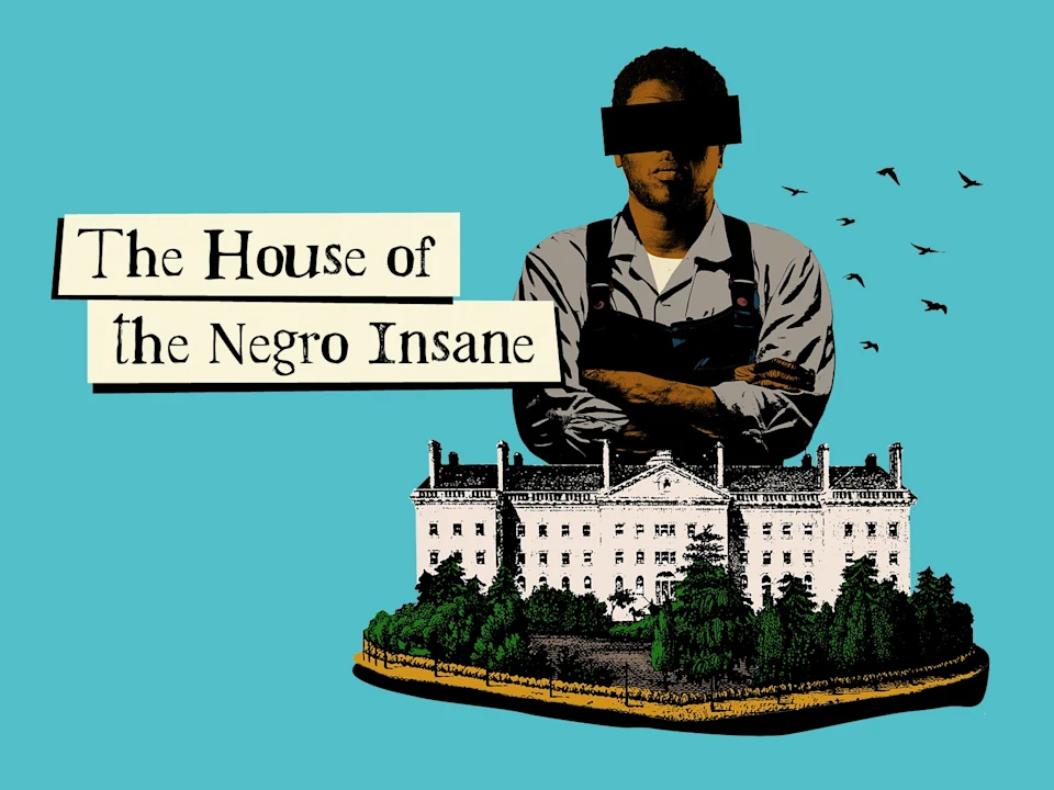 The House of the Negro Insane: What to expect - 1