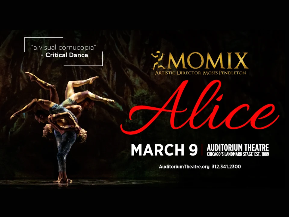 MOMIX - Alice: What to expect - 1