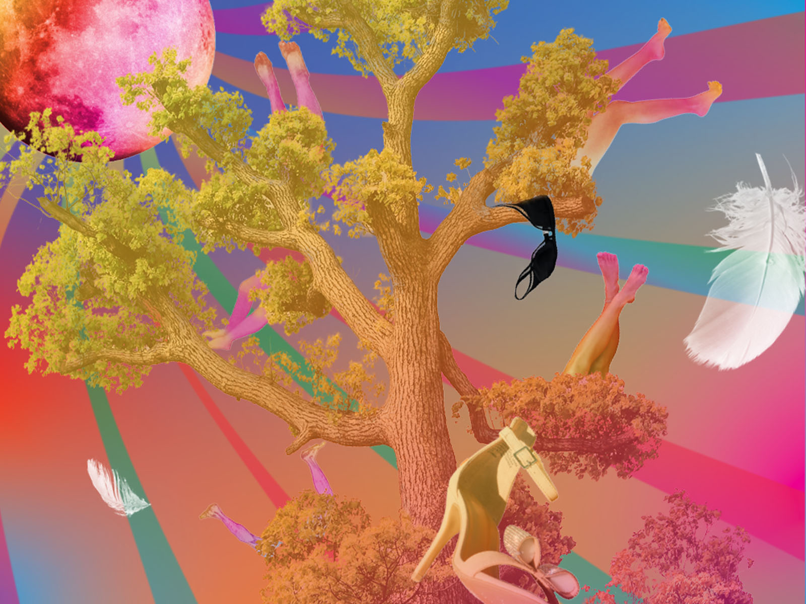 A Little Night Music: What to expect - 1