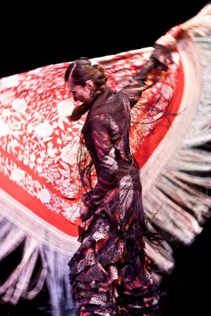 2024 Los Angeles International Flamenco Festival