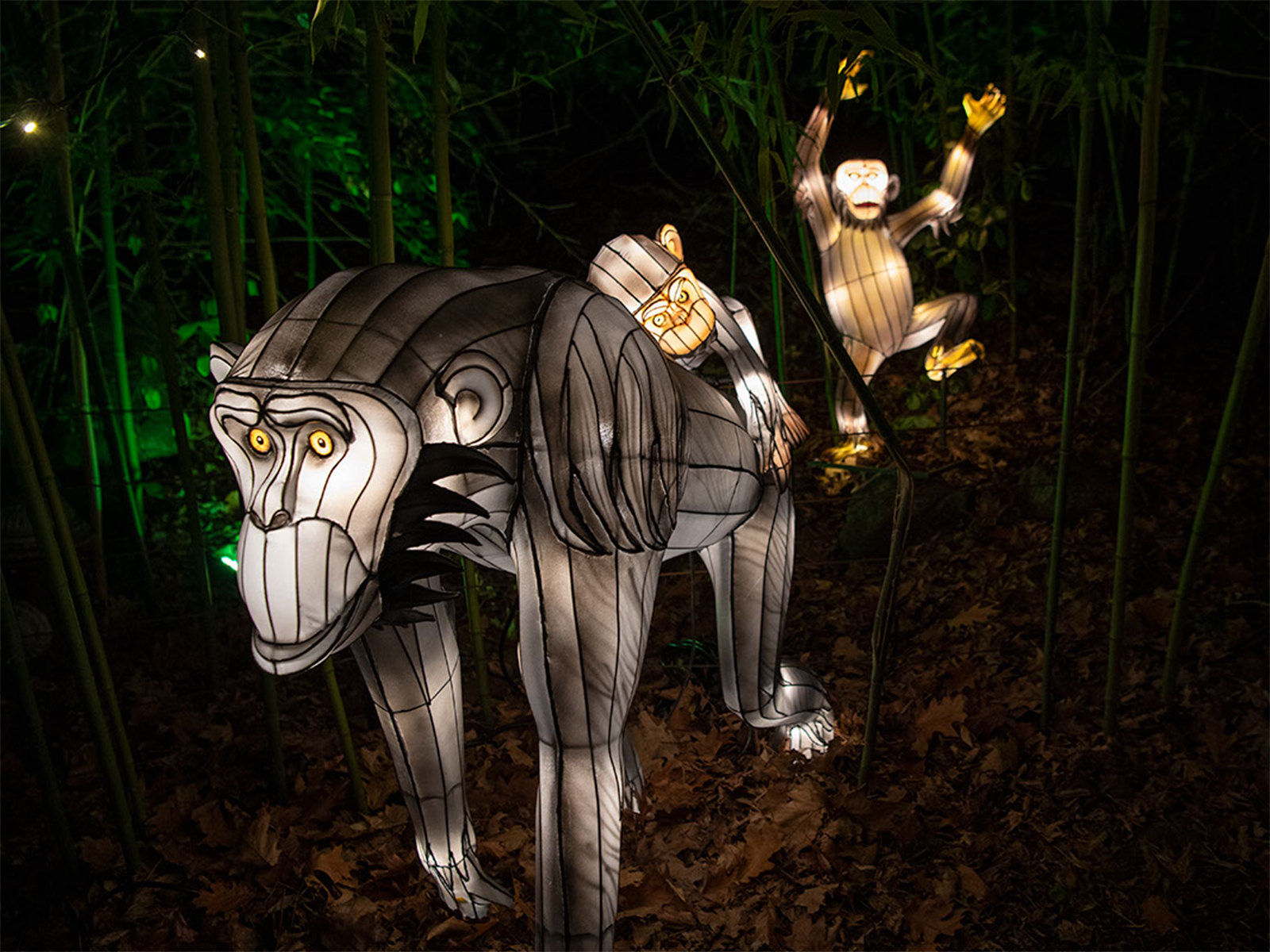 Bronx Zoo Holiday Lights: What to expect - 5