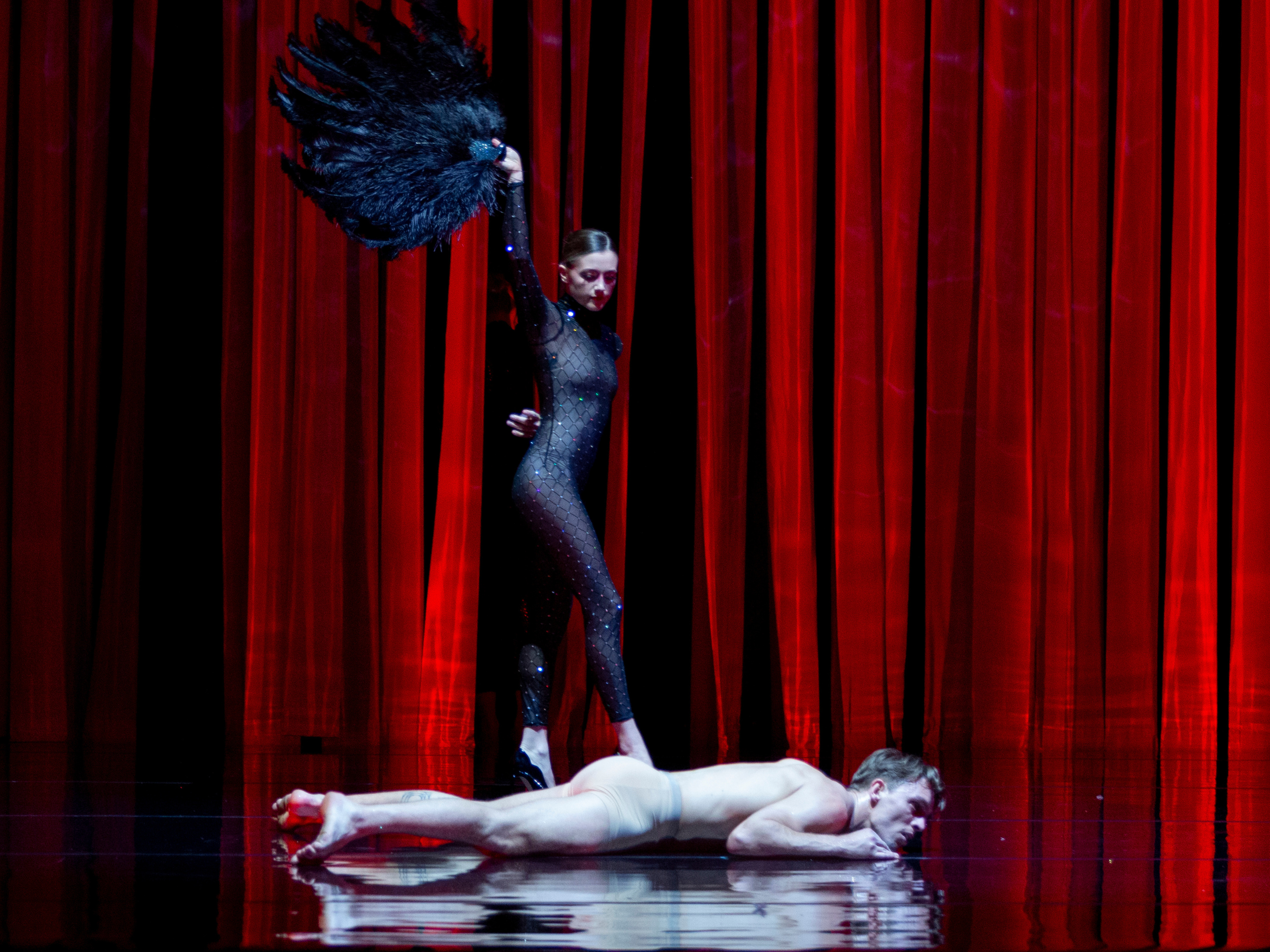 Duck Pond: What to expect - 5