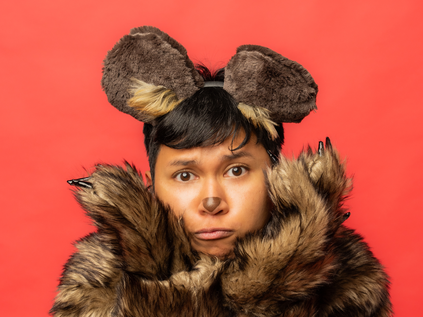 The Teddy Bear's Picnic : What to expect - 3