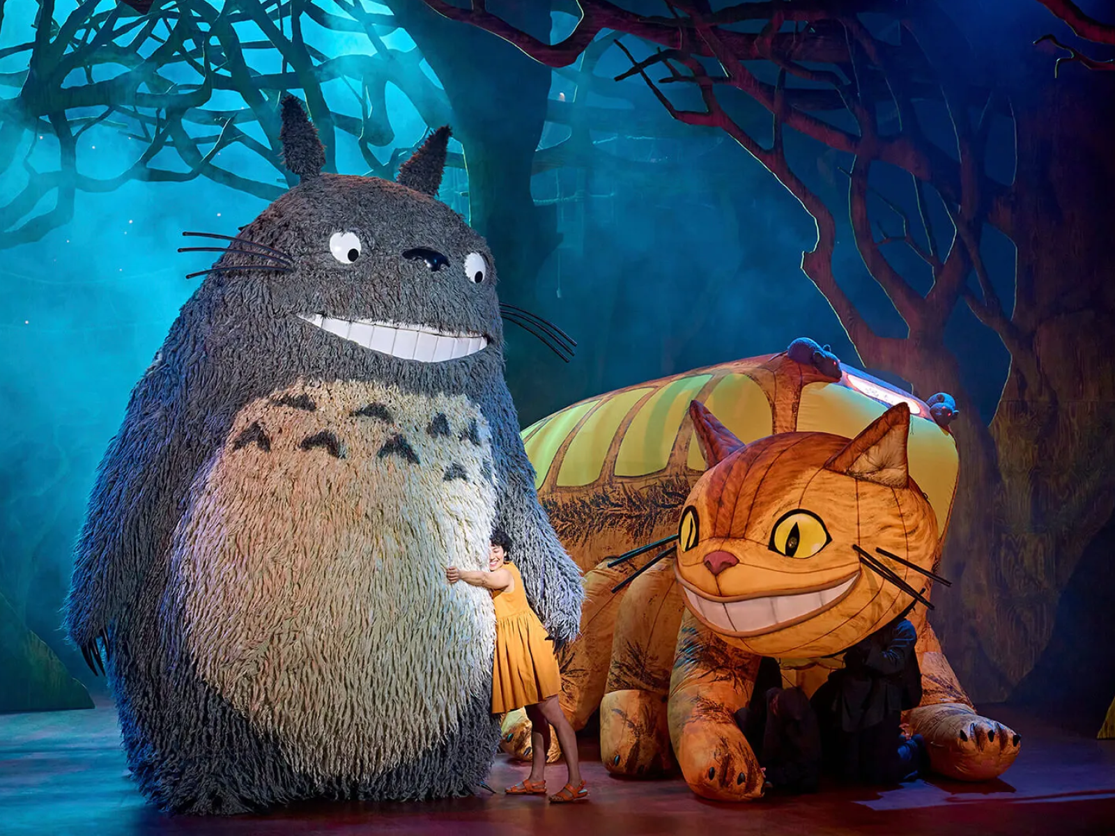 My Neighbour Totoro: What to expect - 2