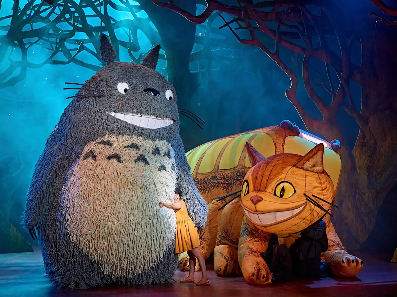 My Neighbour Totoro: What to expect - 1