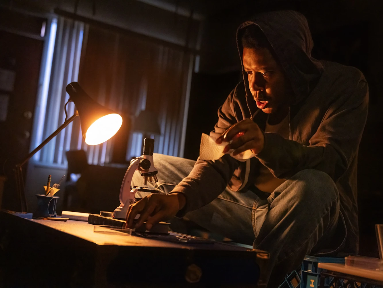 Bug on Broadway: What to expect - 10