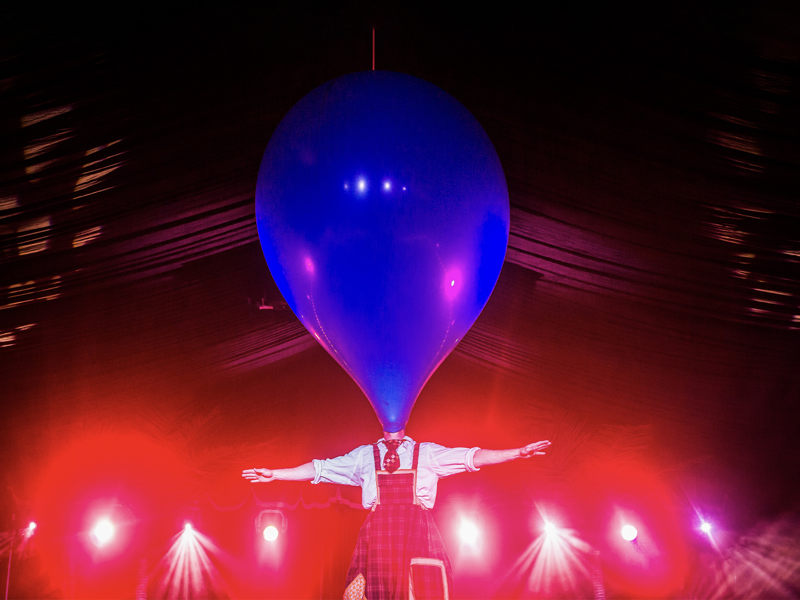 The Gagliardies - Our Family is a Circus!: What to expect - 3