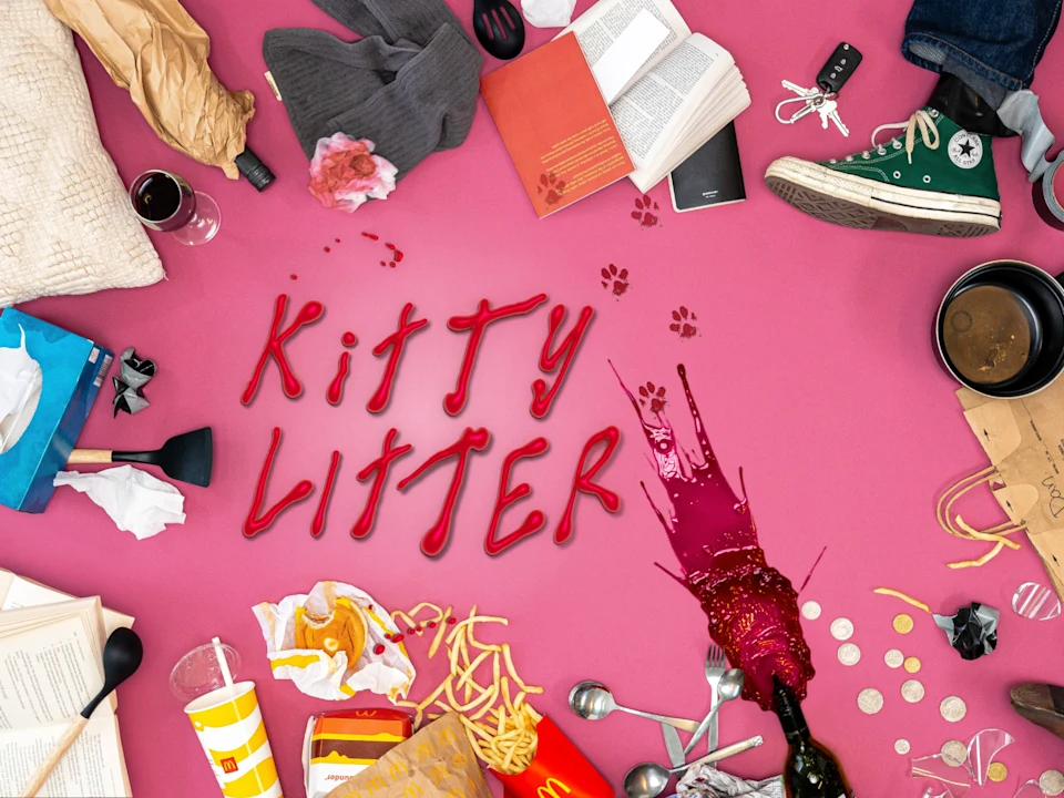 Kitty Litter: What to expect - 1