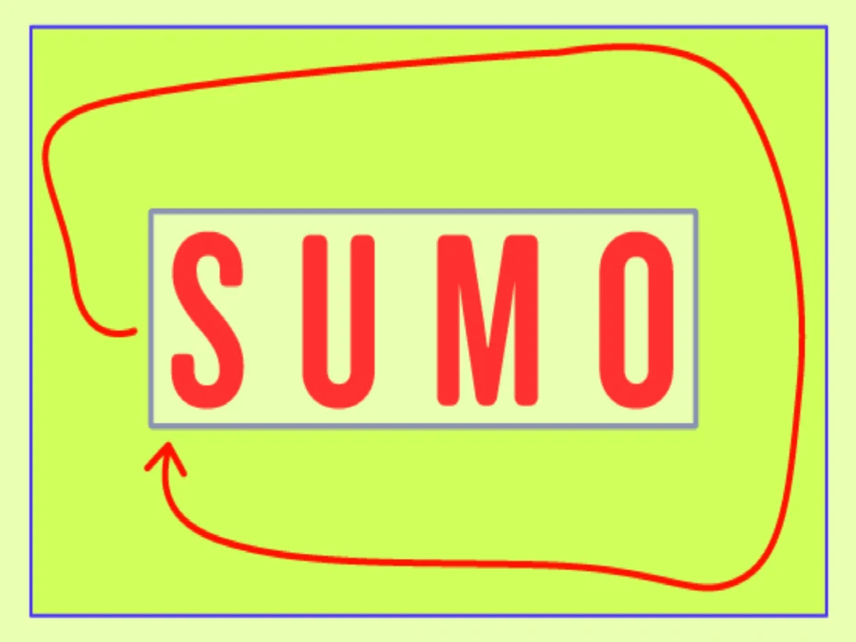 Sumo: What to expect - 1