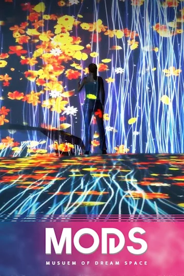 Museum of Dream Space tickets