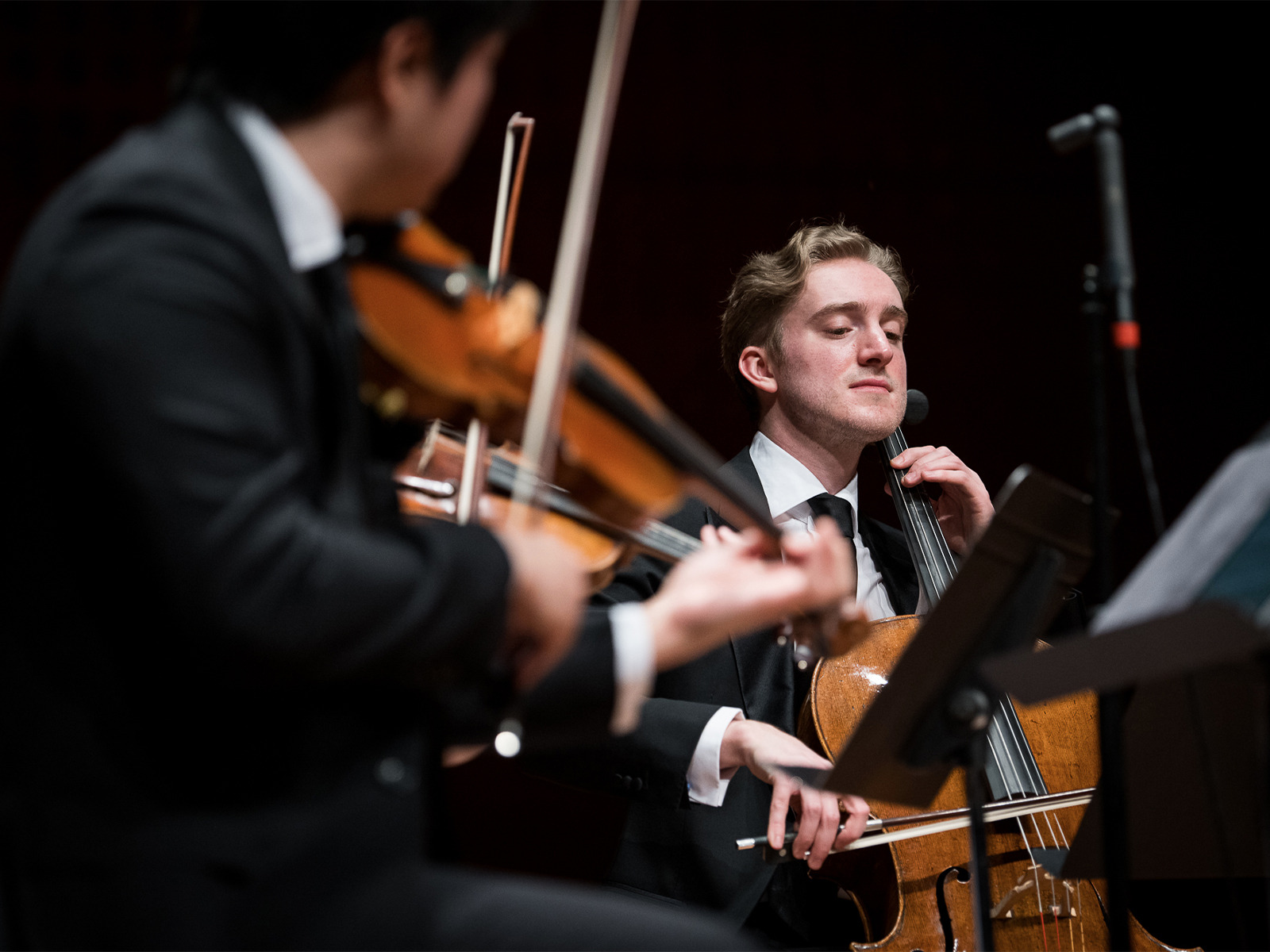 Chamber Music Society of Lincoln Center: The Viano Quartet: What to expect - 3